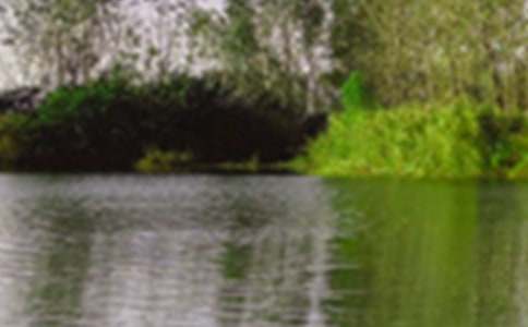 ���ھ�ɫ�ĳ�������300�ֽ�����ƪ