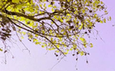 ʵ�õľ�ɫ�ĳ������Ļ��ܾ�ƪ