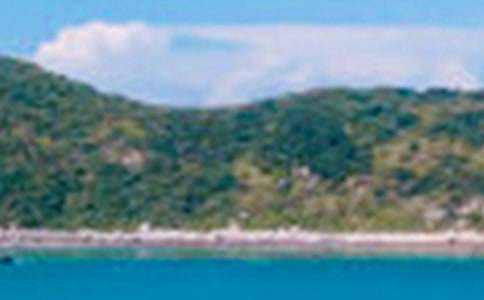 ��ɫ�ĳ�������300�ֽ���7ƪ