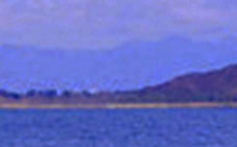 (推荐)小学写景色的作文