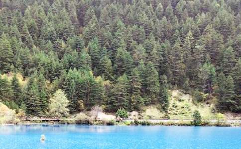 ����կ������ѧ��˼