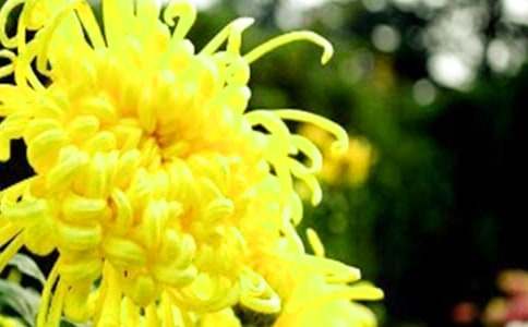 �����ջ�����ѧ�̰�