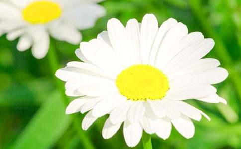 ���ڳ��оջ������ļ�����ƪ