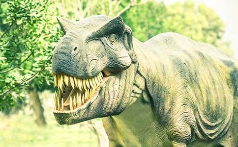 ������Ĵ�������̰�