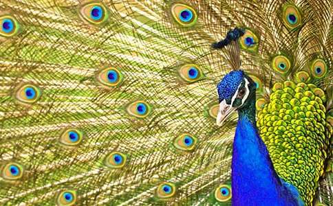 ����ȸ���Ϸɡ��̰�