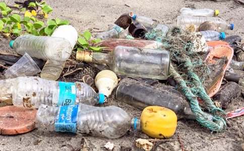 ��ʶ�����������̰�