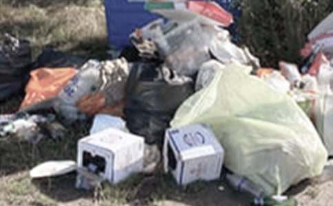 捡垃圾的社会实践报告范文(通用11篇)