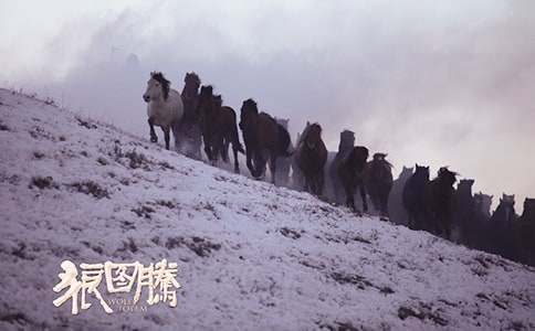 《狼图腾小狼小狼》读后感通用15篇