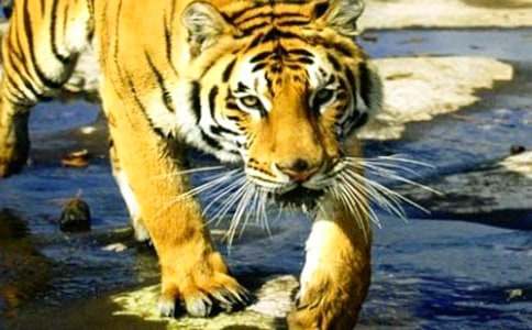 �ϻ����׶����