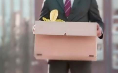 ��ʽ��ְ���뱨��