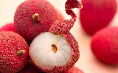 ����������֦�������