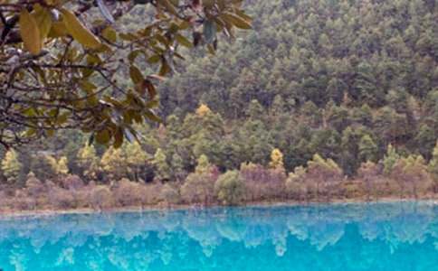 �����ų�Сѧ����