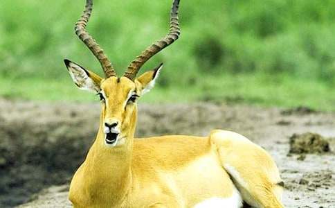 ��˭��С����ȥ����̰�8ƪ