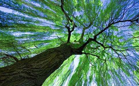 ��ࡶ��������̰�