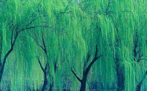 ��С������С����������̰�