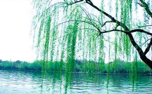 ����������̰����ļ�����ƪ