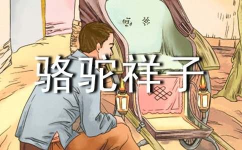 ���С��������ӡ����������