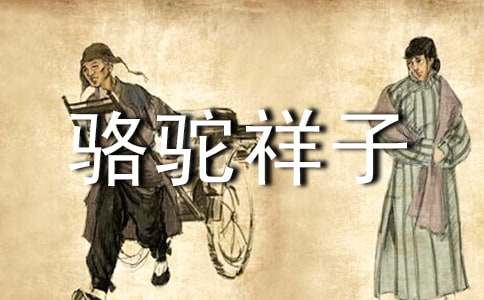 《骆驼祥子》读后感(合集15篇)