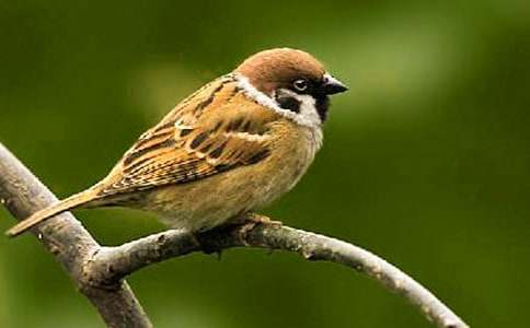 С��ȸ�̰��ϼ���ƪ