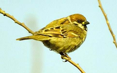 ����ȸ������̰�