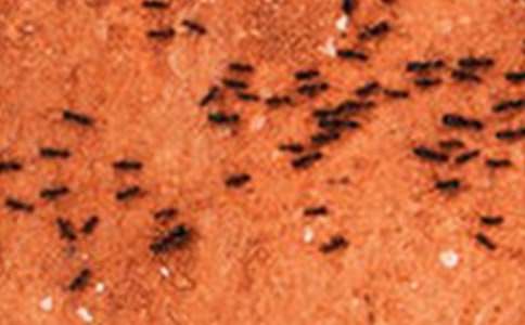 �����Ϻ����塷�γ̰̽�