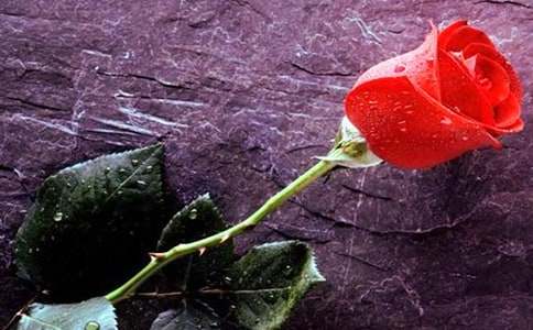 ��õ�����õ�����н���