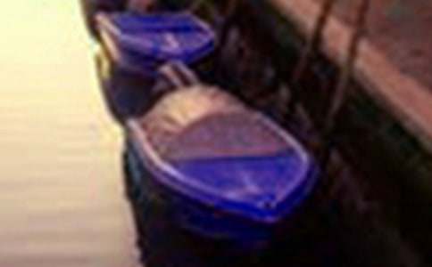 ʵ�õ��������Сѧ������ƪ