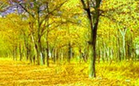 ���Ƽ����������Сѧ���ĺϼ�8ƪ