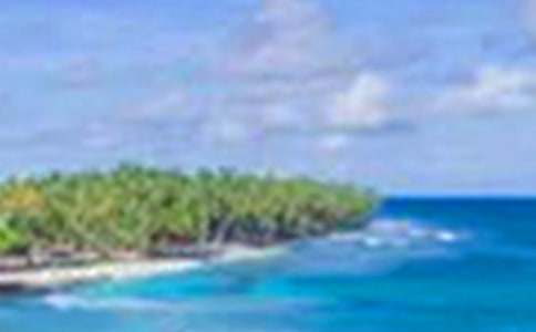 ��������:����