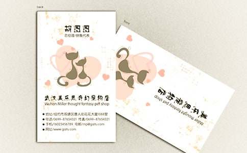 ������ƬСѧ����