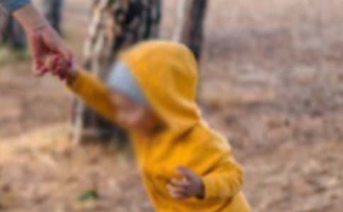 ���漣�к����ۺ�С��ȡ�