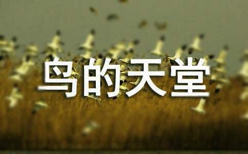 ����Ʒ��������ý̰�4ƪ