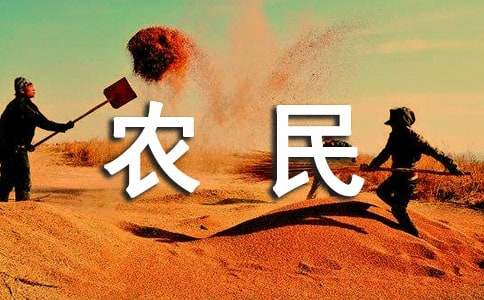 建筑农民工劳动合同