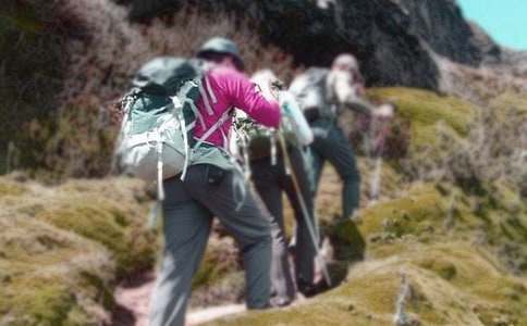 爬山虎的脚第二课时教案