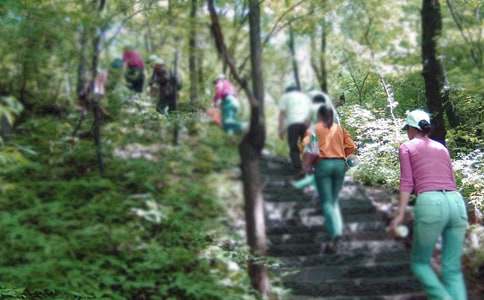 ��ɽ���ĽŽ̰�(����15ƪ)