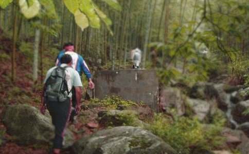 ����Ʒ����ɽ���ռ���ƪ