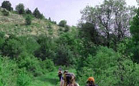 ��ɽ����������