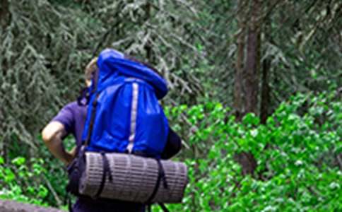 ��ɽ�����15ƪ����ѡ��