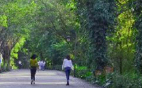 《爬山虎的脚》教案(合集15篇)