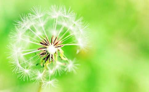 ���������ѹ�ӢСѧ����3ƪ