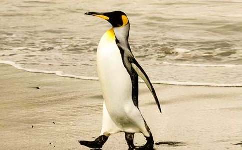 �����������������(15ƪ)