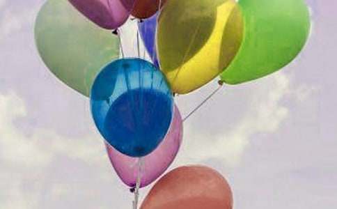 С�������̰�������