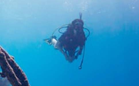 潜水小学作文(精选15篇)