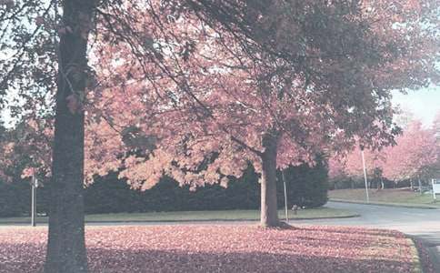 ����＾ѧ�ڽ�ѧ�ƻ�