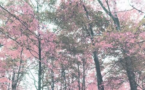 �＾��ѧ�ܽ᷶����ƪ