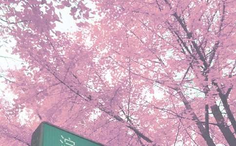 �＾��ѧ�����ƻ�ģ�弯��7ƪ