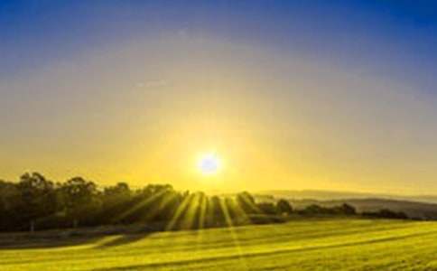 日出小学作文(集合15篇)