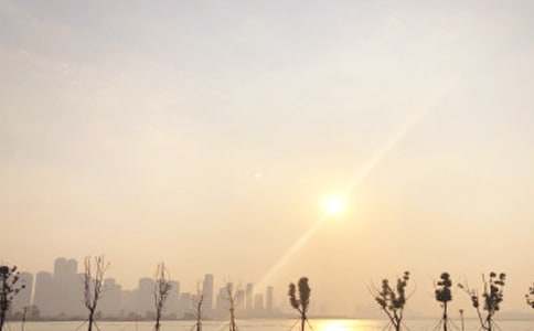 ���ճ��Ķ���