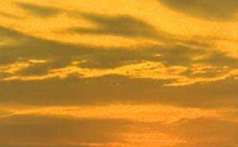 日落小学作文汇编15篇