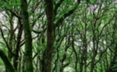 小学森林防火专题课教案范文(通用6篇)